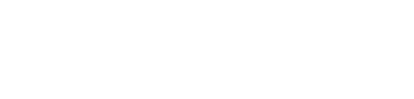 Neospec Trading LLC